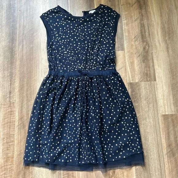 Crewcuts J.Crew Navy Tulle Overlay Dress with Gold Stars